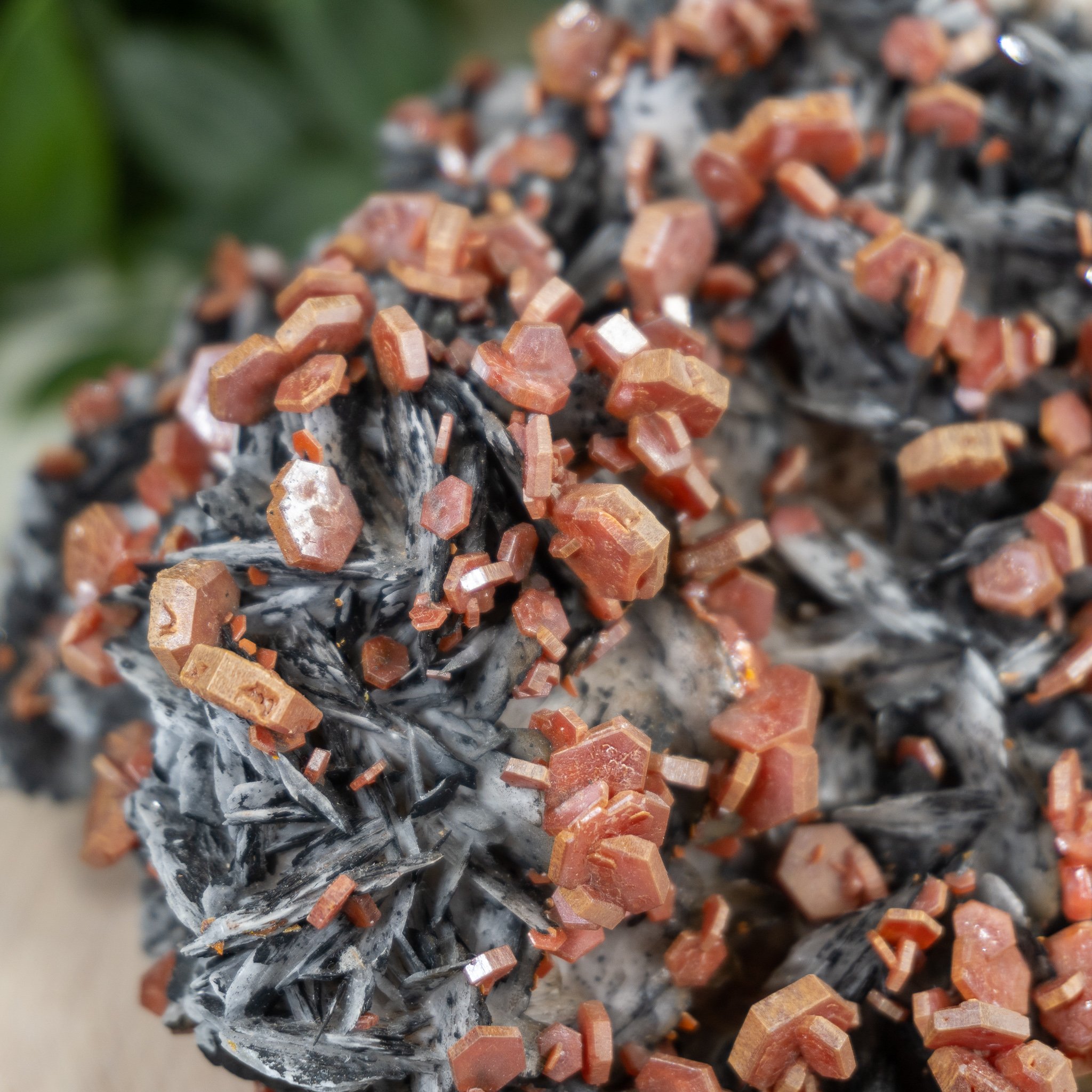 Large Vanadinite Over Black Barite The Crystal Council