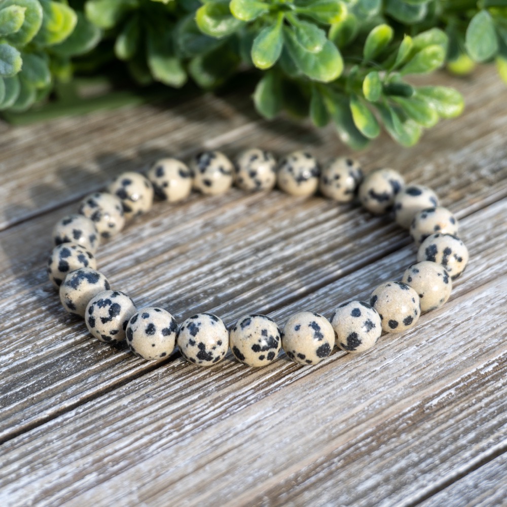 Dalmatian Jasper Bracelet The Crystal Council