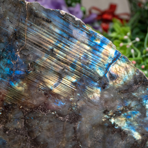 Large Half Polished Labradorite #1