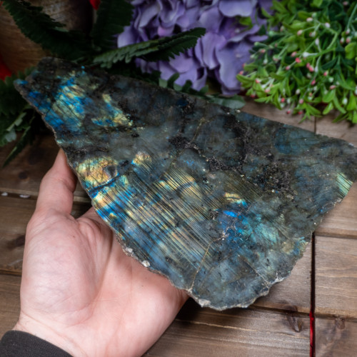 Large Half Polished Labradorite #1