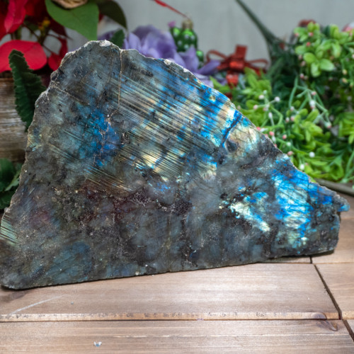 Large Half Polished Labradorite #1