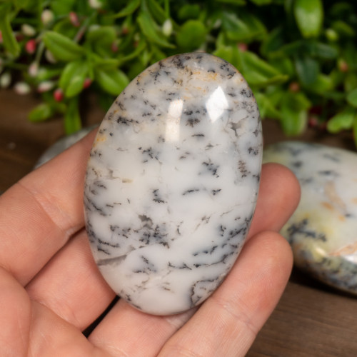 Dendritic Agate Palmstone