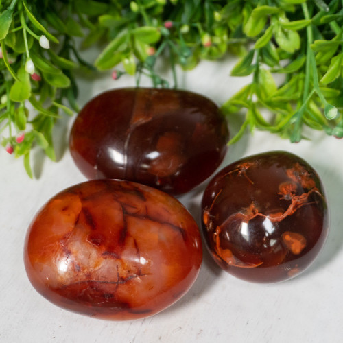 Carnelian Palmstone