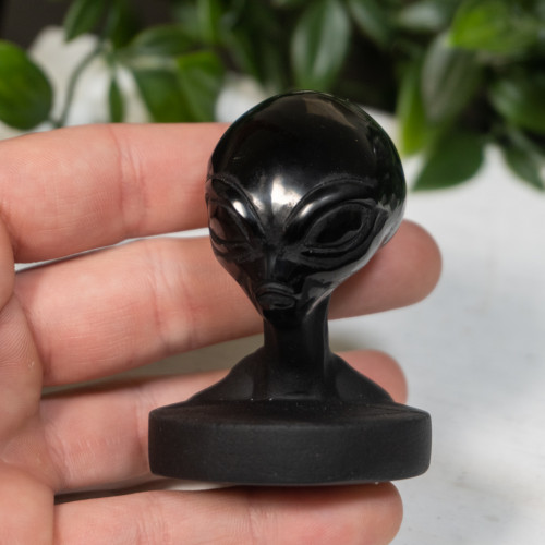 Obsidian Alien on Bust