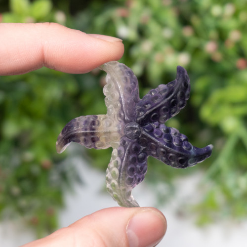 Fluorite Starfish
