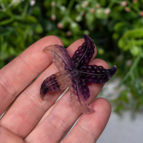 Fluorite Starfish
