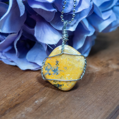 Bumblebee Jasper Necklace #1