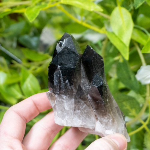 Smoky Quartz #9