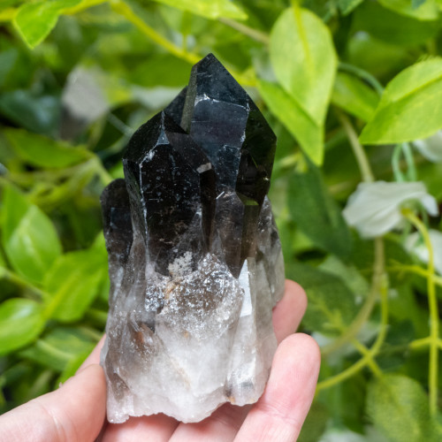 Smoky Quartz #9