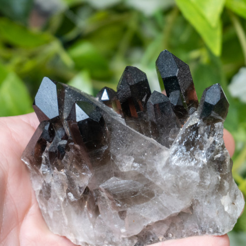 Smoky Quartz #7