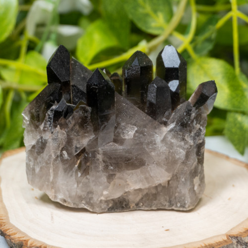 Smoky Quartz #7