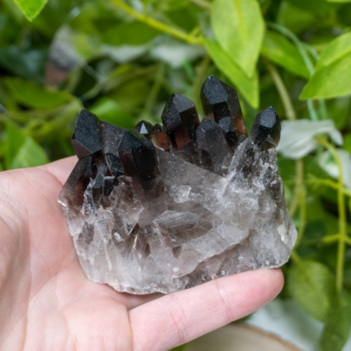 Smoky Quartz #7