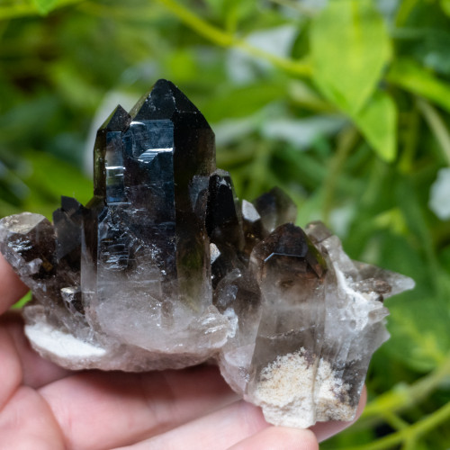 Smoky Quartz #1