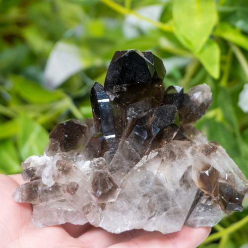 Smoky Quartz #1