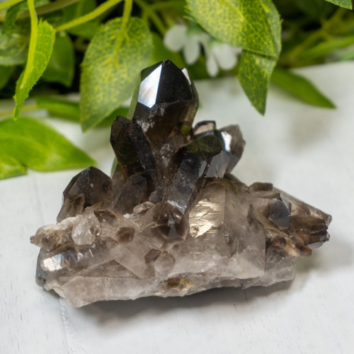 Smoky Quartz #1