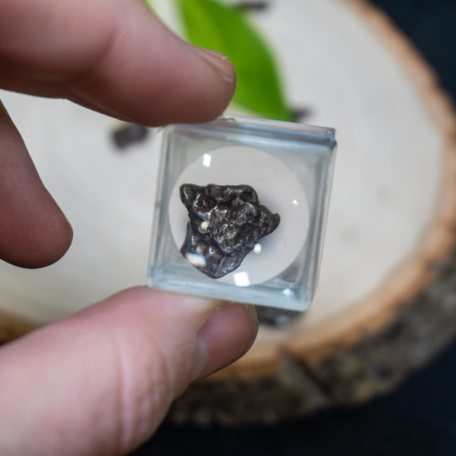 Campo Del Cielo Meteorite Fragment with Magnifying Case