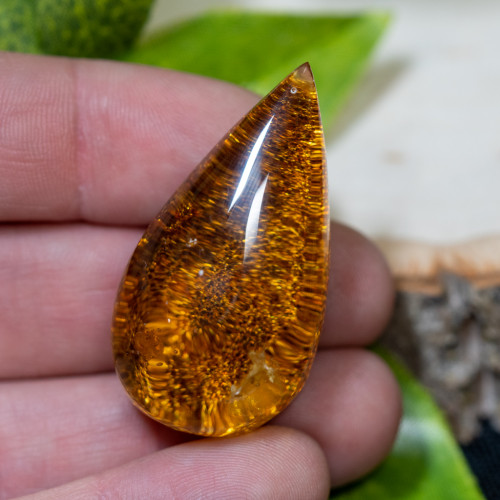 Amber Amulet #1