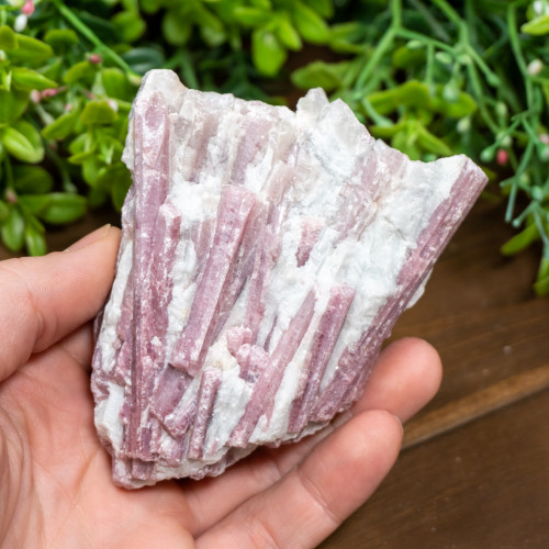 Pink Tourmaline in Quartz #14