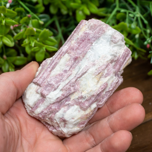 Pink Tourmaline in Quartz #6