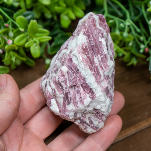 Pink Tourmaline in Quartz #16