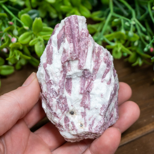 Pink Tourmaline in Quartz #16