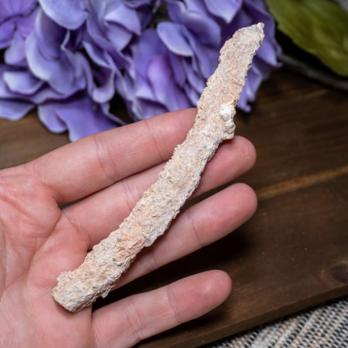 Fulgurite #5