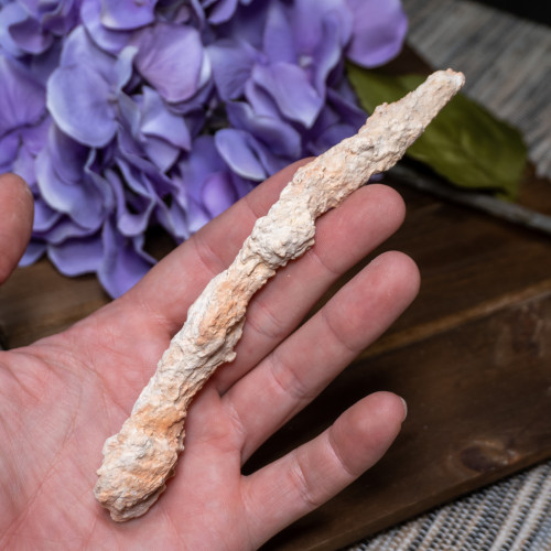 Fulgurite #4