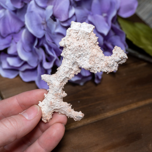 Fulgurite #3