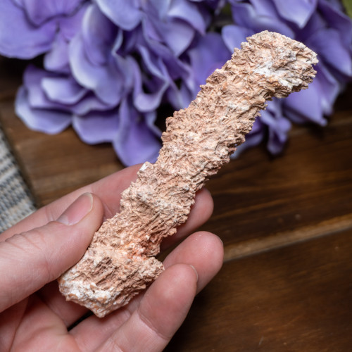 Fulgurite #1