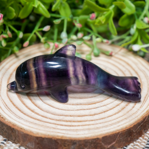 Fluorite Dolphin