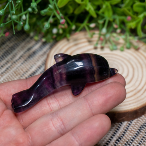 Fluorite Dolphin