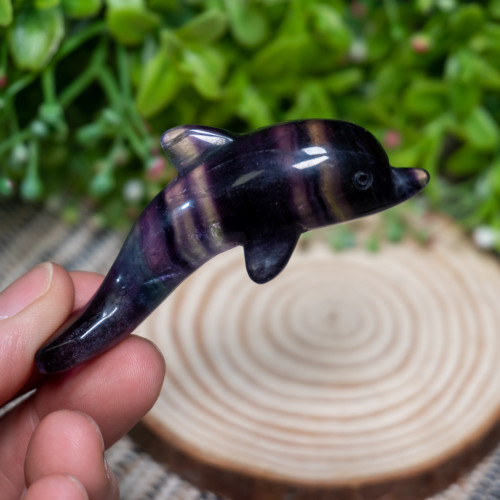 Fluorite Dolphin