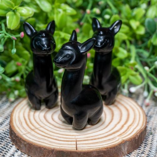 Obsidian Alpaca