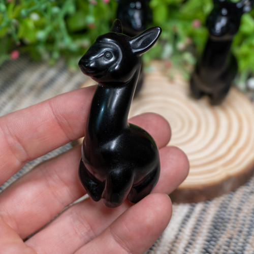 Obsidian Alpaca