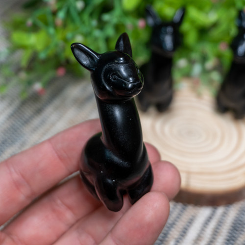 Obsidian Alpaca