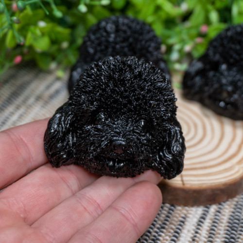 Black Tourmaline Poodle