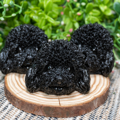 Black Tourmaline Poodle