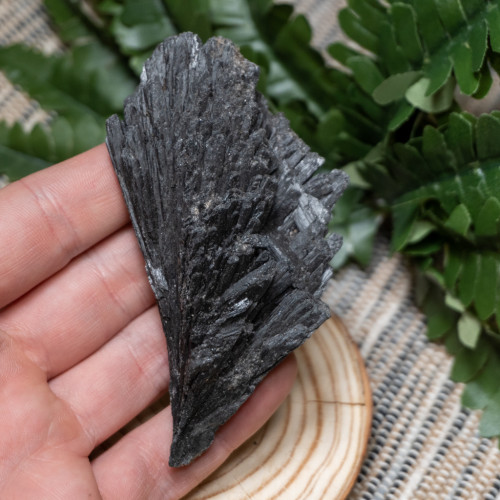 Black Kyanite Fan #9