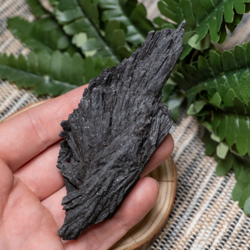 Black Kyanite Fan #7