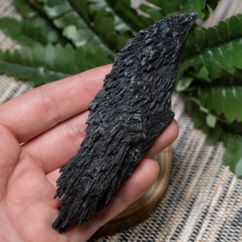 Black Kyanite Fan #6