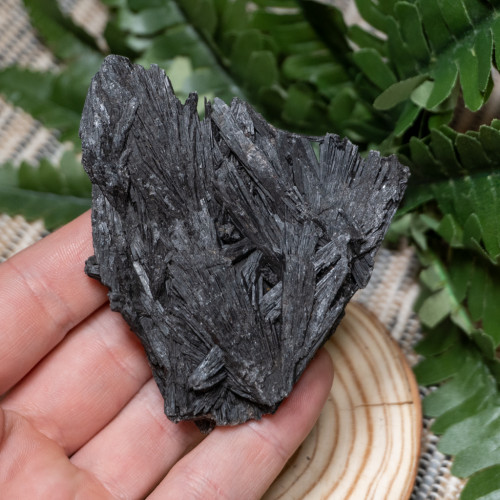 Black Kyanite Fan #5