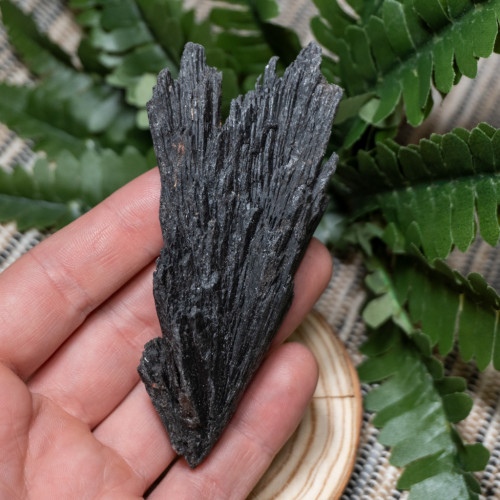 Black Kyanite Fan #4