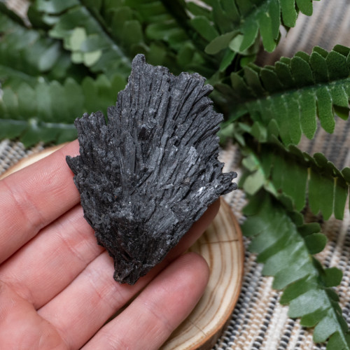 Black Kyanite Fan #3