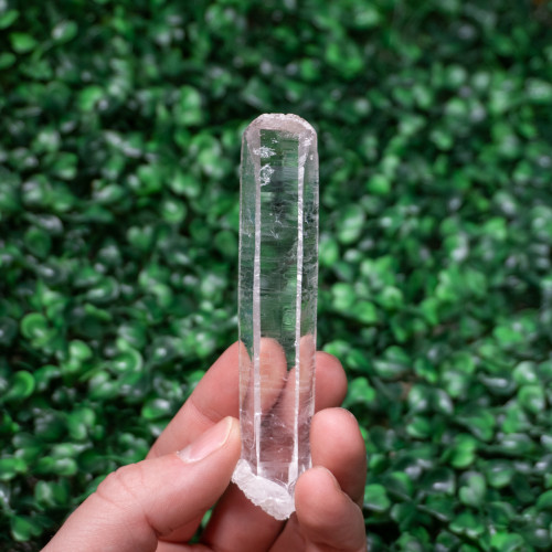 Medium Lemurian Quartz