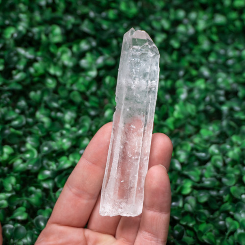 Medium Lemurian Quartz