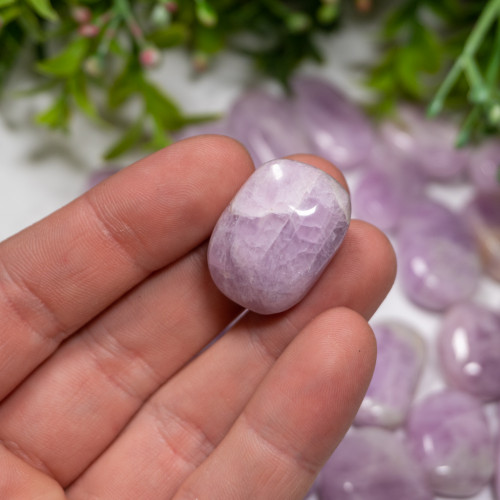 Kunzite Tumbled