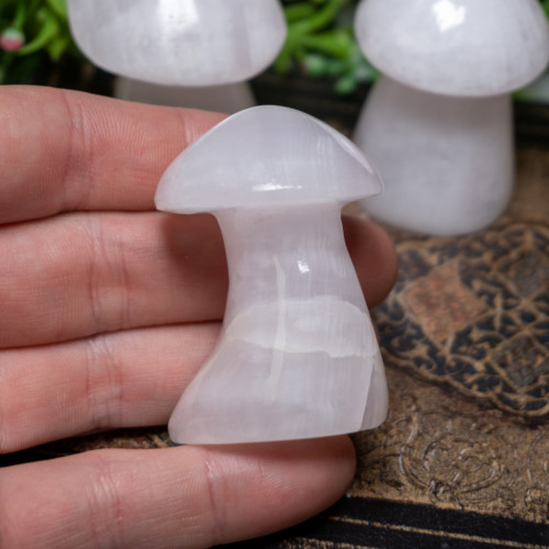 Mangano Calcite Mushroom