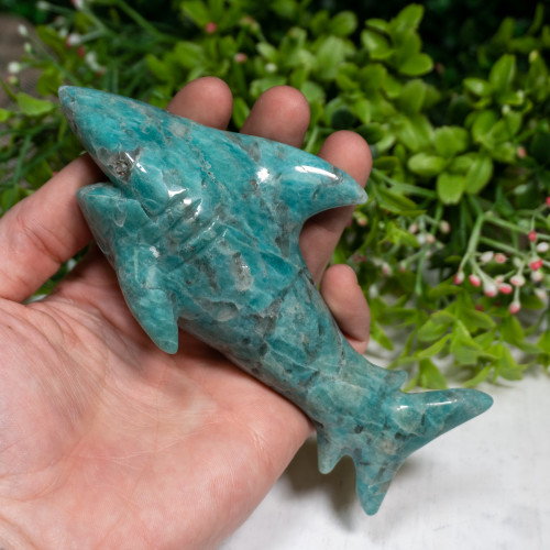 Amazonite Shark