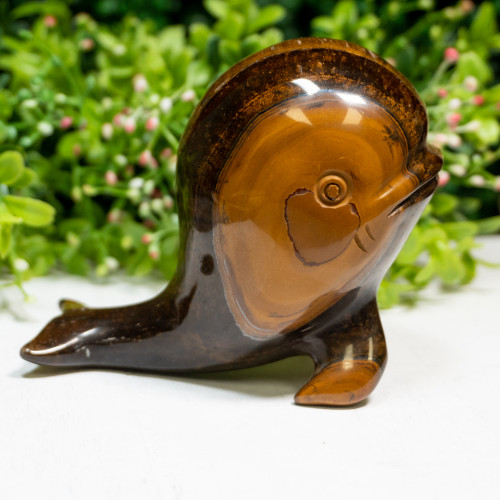 Tiger Eye Whale #1