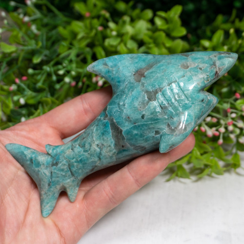 Amazonite Shark